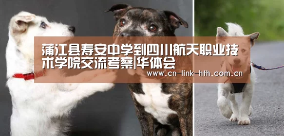 华体会登录